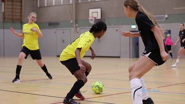 Bild 10 - Videos